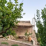 - Margherita Amalfi
